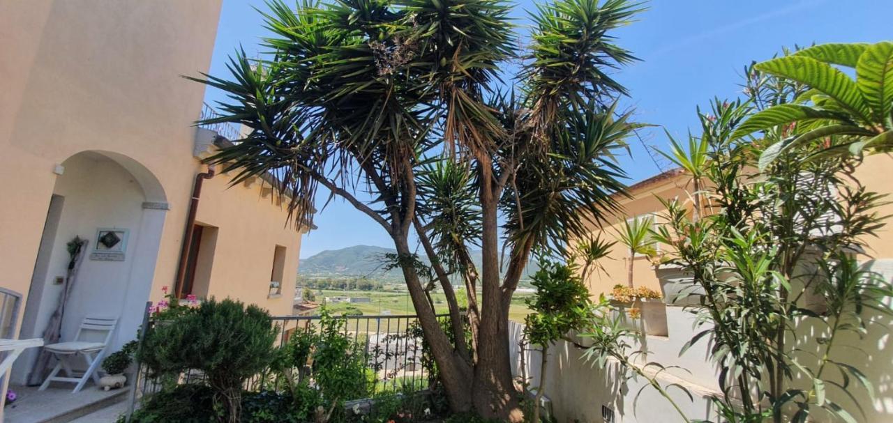 B&B Villa Orchidea Olbia Exterior photo